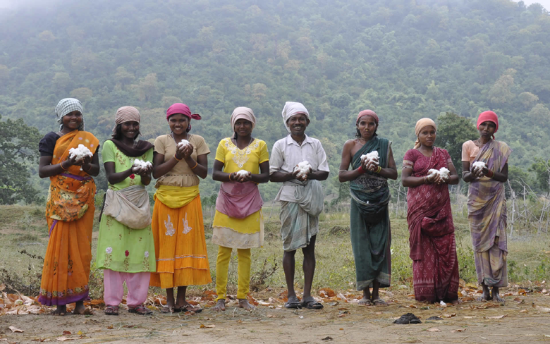 people holding cotton